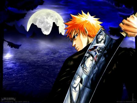 ichigo de bleach se mnga est coll